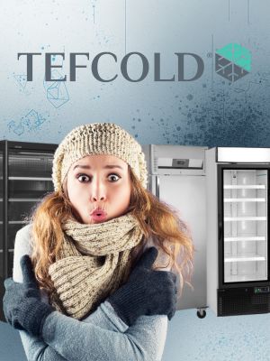 Mrazen� a chlazen� TEFCOLD