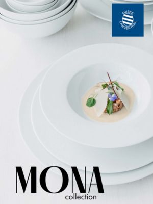Nov� kolekce hotelov�ho porcel�nu MONA