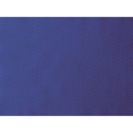 V�ce informac� o v�robku Prost�rka 30 x 40 cm pap�r tmav� modr� (500�ks)