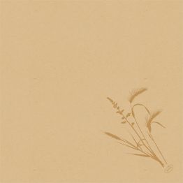 V�ce informac� o v�robku Ubrousek 40 x 40 cm BioDunisoft  Meadow Natural (60�ks)