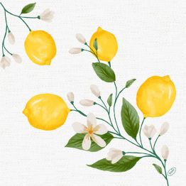 V�ce informac� o v�robku Vzor LEMON FIESTA